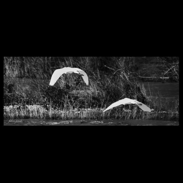 PHOTO84, CLUB, 84 , LUBERON